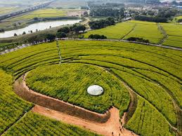 今年会jinnianhui官网 大型屋顶园林景观设计